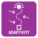 Adaptivity