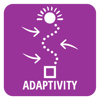 Adjusts to shifting external market forces and is able to adapt to the changing expectations of internal stakeholders, adult students and employers―understanding the needs of those they serve by developing creative academic solutions.