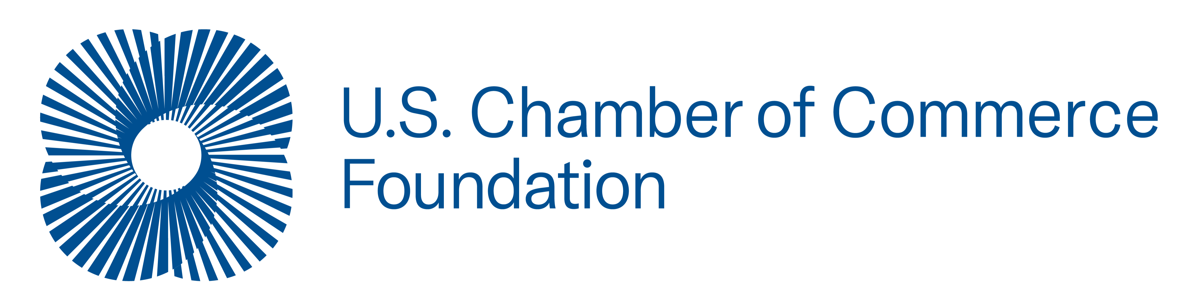 USCC_Foundation_Insightful-Blue-2