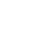 li-icon
