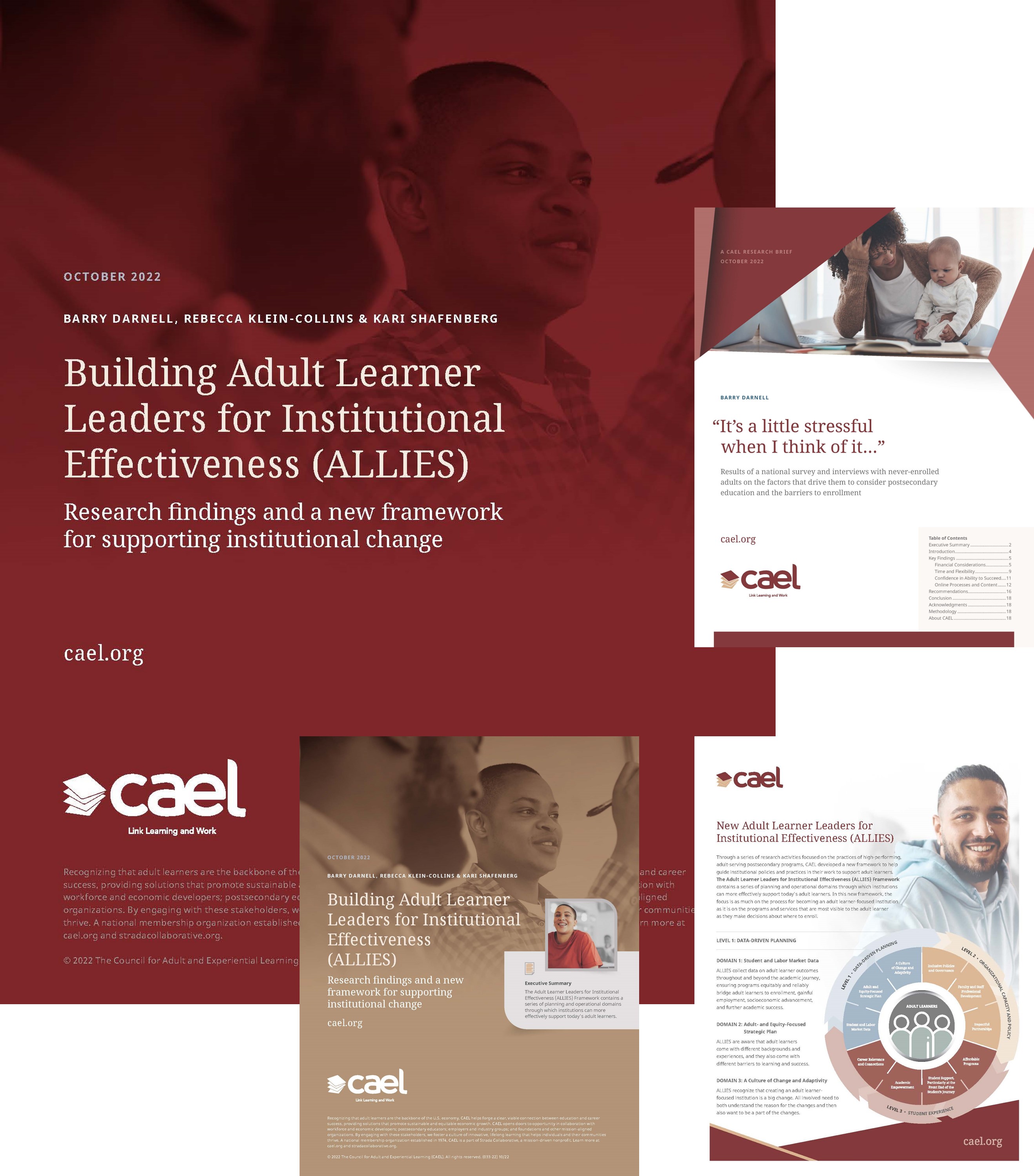 CAEL-ALLIES-Framework-Research-Downloads CAEL-ALLIES-Framework-Research-Downloads