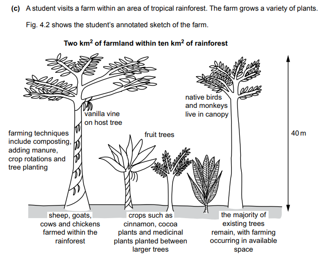 Diagram

Description automatically generated