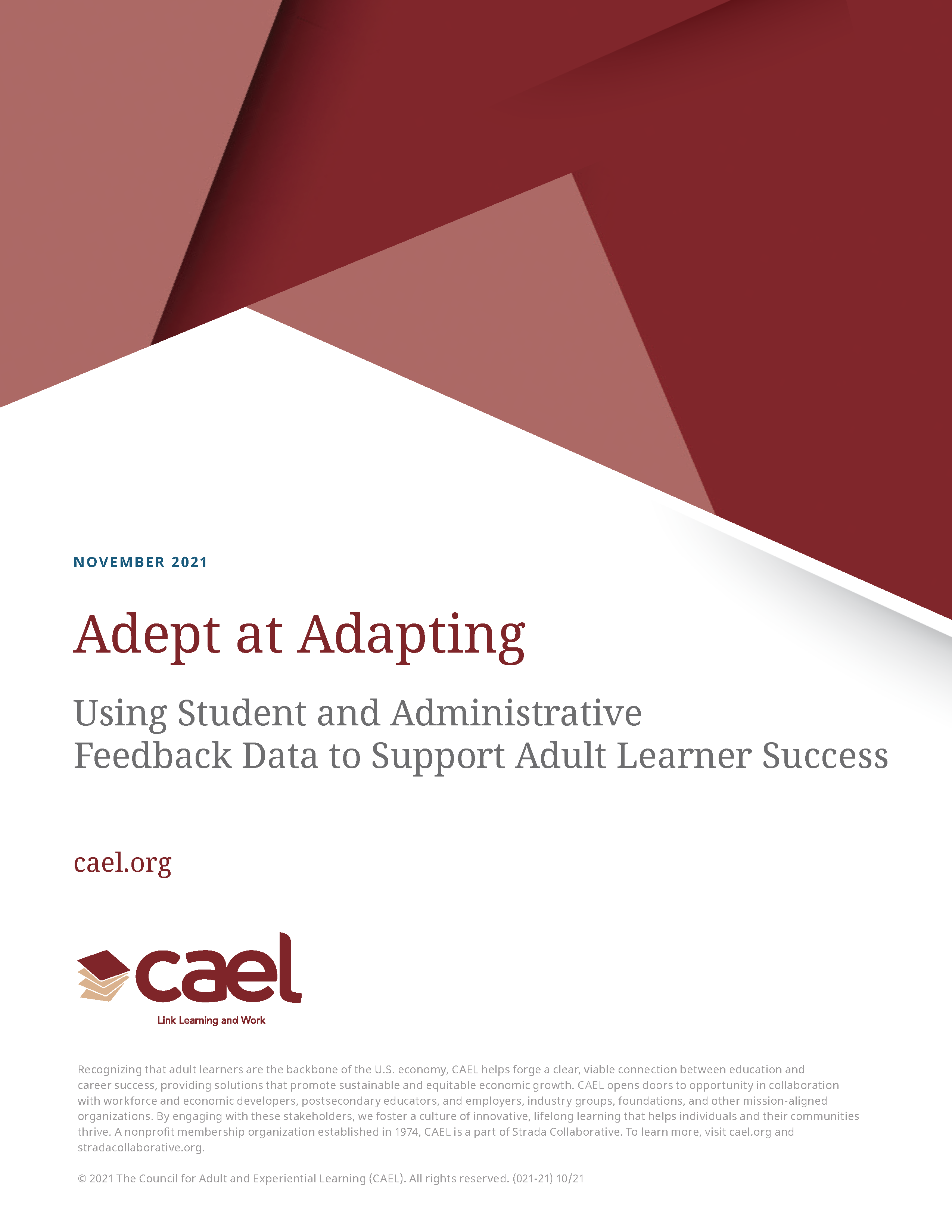 Adept at Adapting